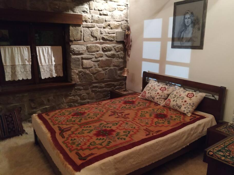 Παραδοσιακή Πέτρινη Κατοικία Στην Βλάχα Ελάτης Zewnętrze zdjęcie